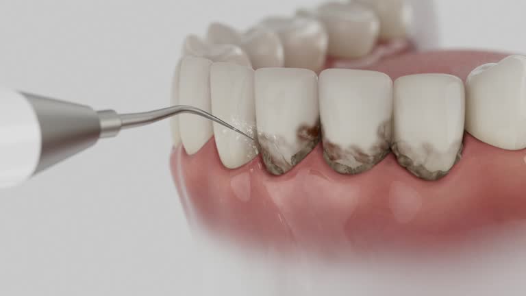 Reliable Dental contractor in St. Anne, IL by Dentist Open Now